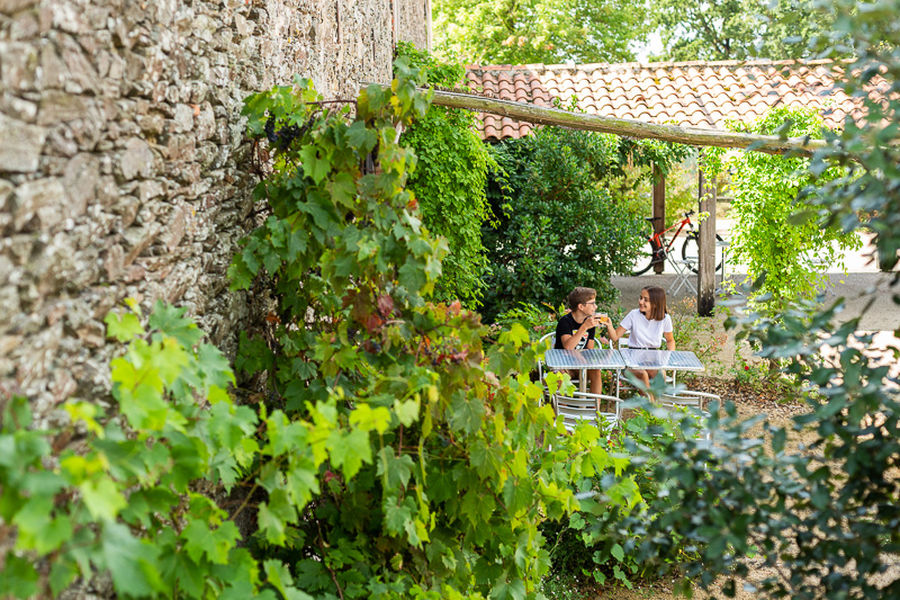 terrasse verdure