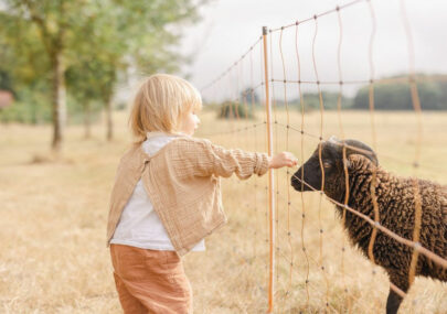 mini ferme enfant