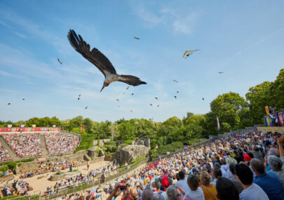 puy du fou spectacle oiseaux