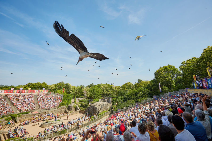 puy du fou spectacle oiseaux