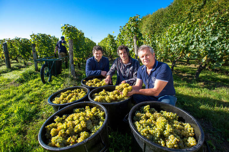 domaine barbiniere chantonnay vins bios