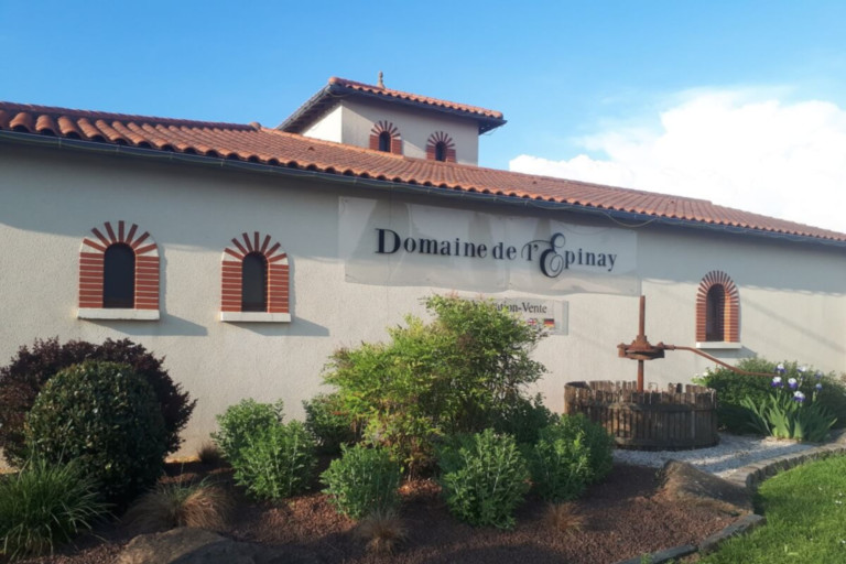 domaine de l'Epinay, vignoble du muscadet