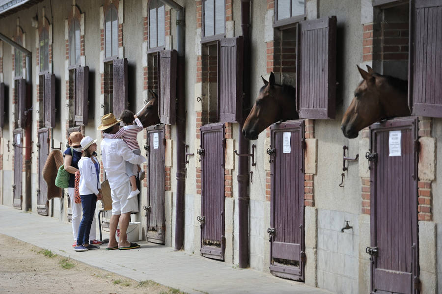 haras vendee roche sur yon