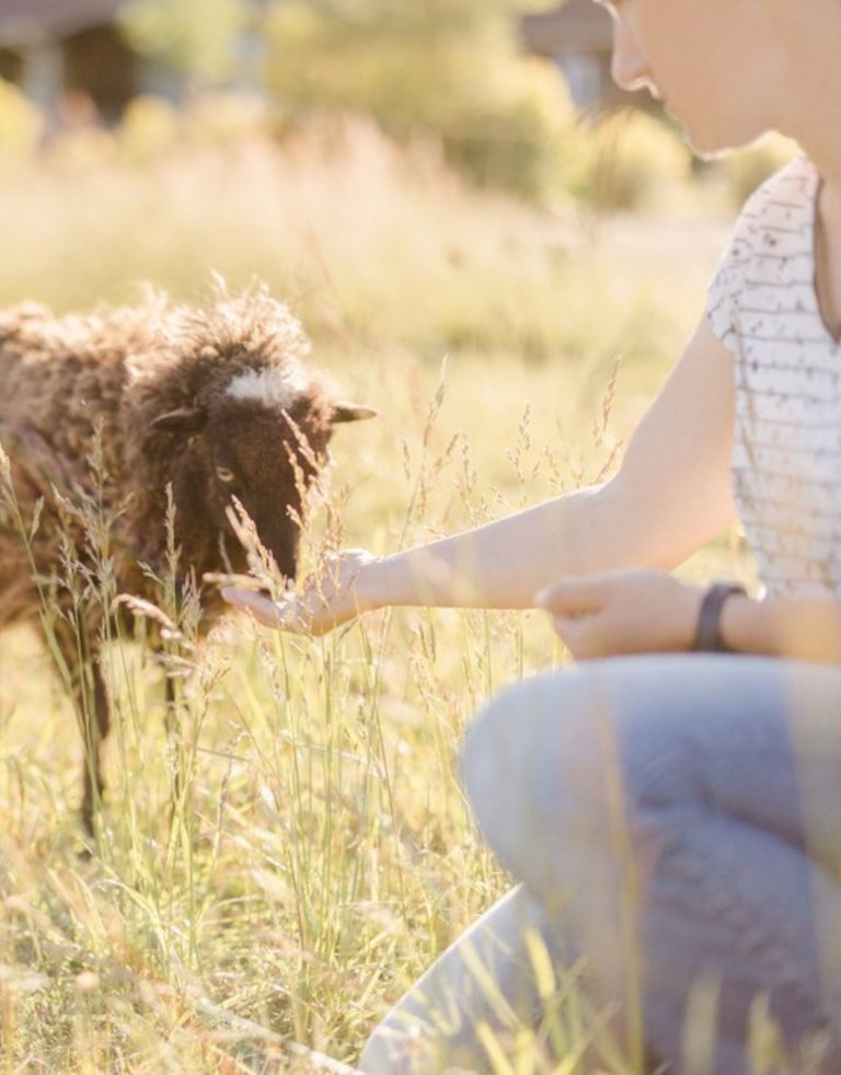 soigneuse avec mouton soins animaux