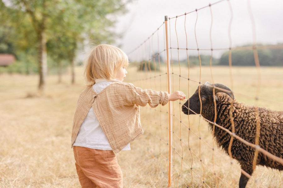 enfant mini-ferme