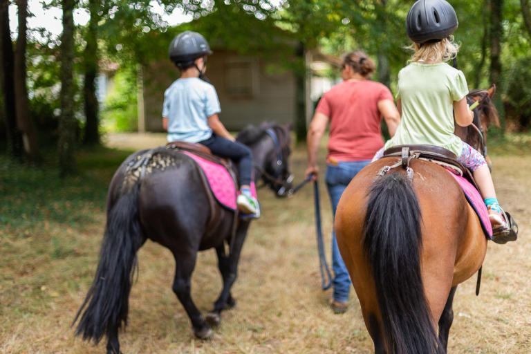 poneys été