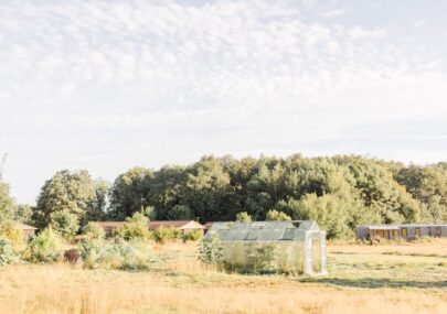Maraîchage bio, le nouveau projet du Domaine de l'Oiselière